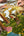 Herbstpuzzle, pilz puzzle, puzzle herbst