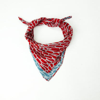 Bandana rot