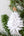 Weihnachtsanhänger Papier, Tannenbaum
