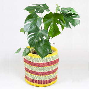 Pflanzenkorb Sisal