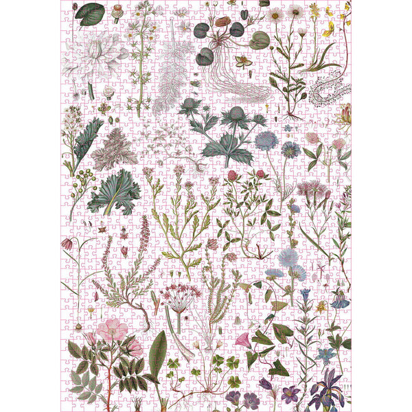 Puzzle- Flora Danica- 1000 Teile
