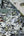 Puzzle- Gartenvögel - 1000 Teile