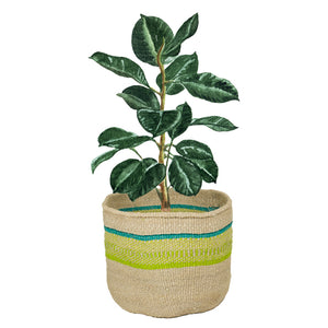 Pflanzenkorb Sisal