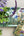 TABLETT 32x15 - Sommergarten